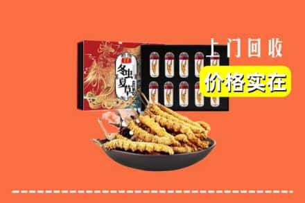 福州平潭县回收冬虫夏草